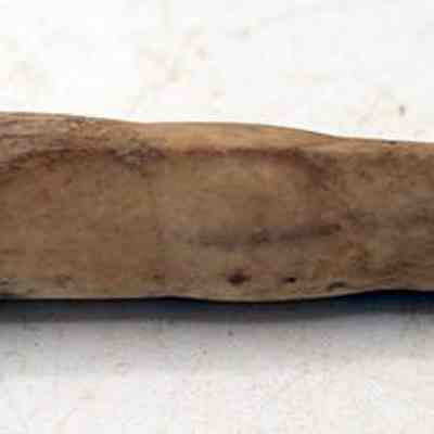 Profile of echinoid abrader: The image shows a weathered, beige tool with a smooth surface, lying horizontally on a slightly textured, light-colored background.