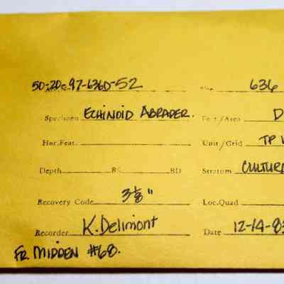 Artifact envelope for part of an echinoid abrader: The image shows a yellow data envelope with handwritten information for a specimen labeled as "Echinoid Abrader," recorded by K. Delimont.