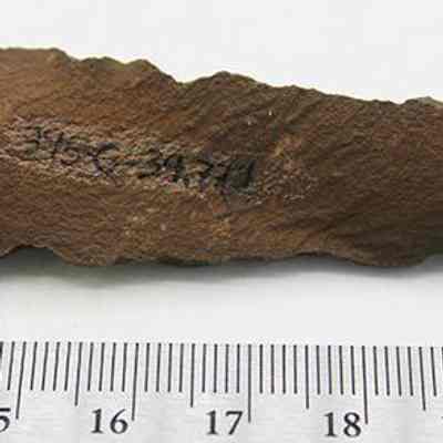 Basalt awl with alternate id number and ruler: The image shows a pointed stone awl artifact with a rough texture and markings on its surface, placed above a ruler indicating its length.
