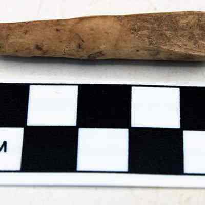 Echinoid abrader: The image shows a small, rectangular, carved echinoid artifact placed above a black and white checkered scale marked in centimeters for size reference.