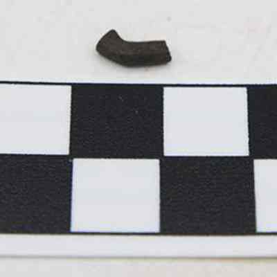 Closeup of a makau (fish hook) fragment with a centimeter scale: A small, curved fish hook (makau) fragment  is placed above a black and white checkered measuring scale, labeled with "CM" for centimeters, on a light background.