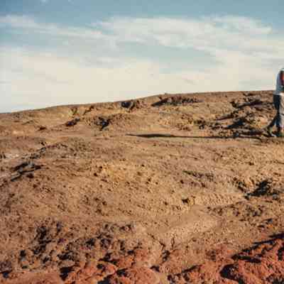 Man with shovel