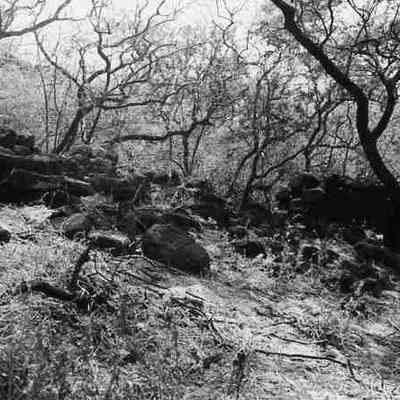 Site 560C #7A