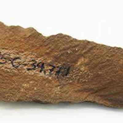 Profile of basalt awl with alternate id number visible: The image shows an ancient, jagged stone tool or awl, with visible rough edges and a series of black alphanumeric markings on its surface.