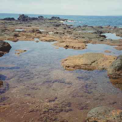 Tidepools