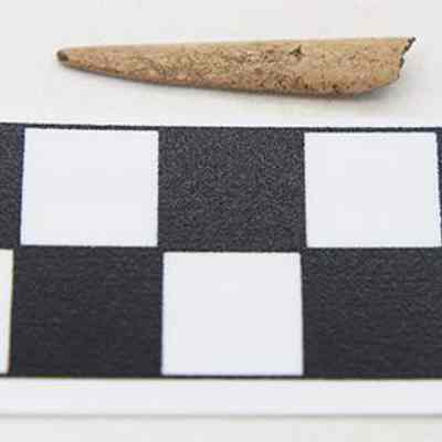 Bone pick with scale: The image shows a small, pointed artifact placed above a black-and-white scale with alternating squares and the label "CM" indicating centimeters for measurement.