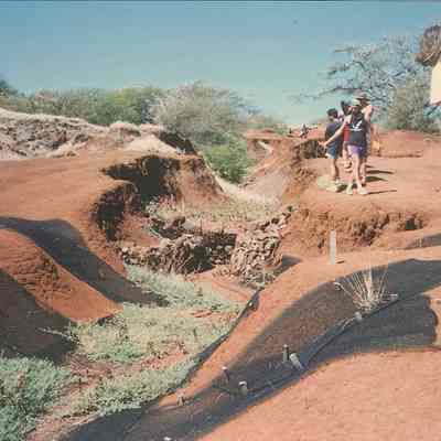 Gully _check dams _planting_people