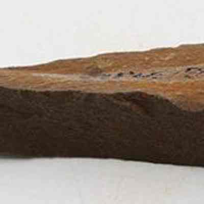 Profile of a basalt awl: The image shows an ancient stone awl with a pointed end, used historically for piercing or carving, featuring a rough texture and brown coloration.