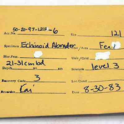 Envelope for abrader: The image shows a yellow artifact envelope labeled with details like specimen type, location, depth, site, stratum, and recovery code, recorded on August 30, 1983.