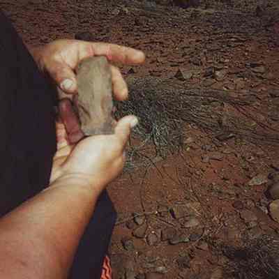 Potential lithic artifact