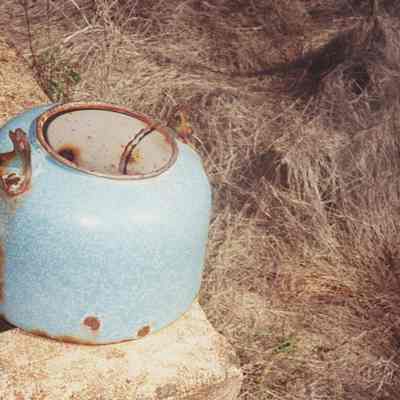 Kettle at Kuheia
