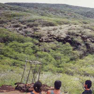 Trees, ledges and hills