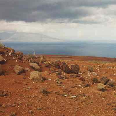 Unidentified arch site with coral