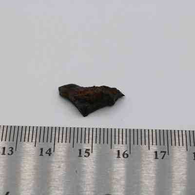 Basaltic glass flake with ruler: A small basaltic glass flake is positioned on a white surface next to a steel ruler for scale.