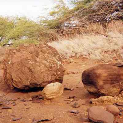 Pohaku (stones)