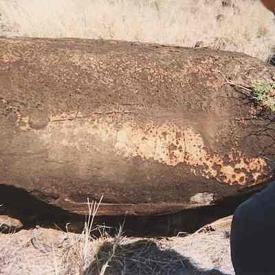Rock with possible petroglyphs