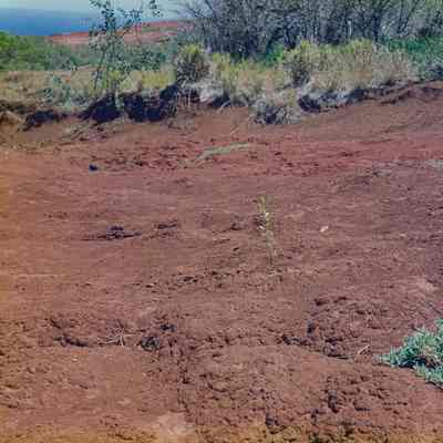 Planting on hardpan terrain