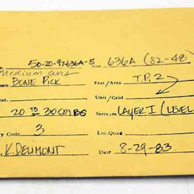 Artifact envelope for bone pick: The yellow index card is filled with handwritten archaeological details, including accession number, specimen type, feature area, depth, stratigraphy, recovery code, and recovery code.