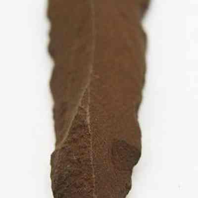 Lengthwise view of a basalt awl: The image shows a brown, ancient-looking awl, crafted from stone, with a sharp, pointed end, and a textured surface.