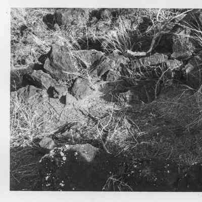 Site 640A #3