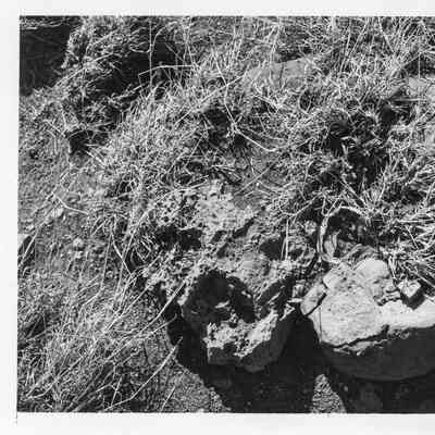 Site 150D #9-firepit
