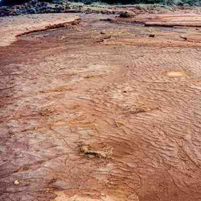 Dry streambed