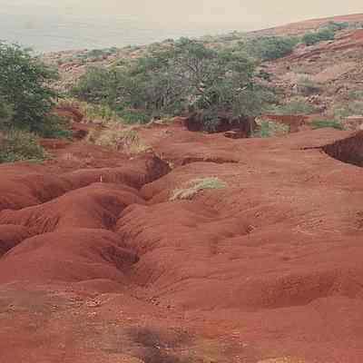 Hardpan gullies with kiawe trees & ocean