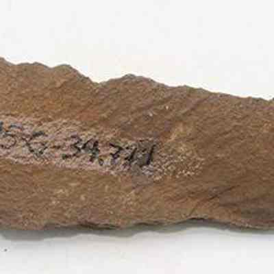 Profile of basalt awl with alternate id number visible: The image shows an awl, crafted from a pointed piece of stone, with a rough, textured surface. A sequence of numbers is inscribed on one side.
