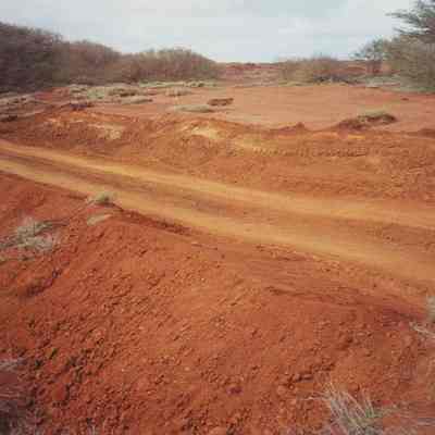 Two unidentified people along dirt road