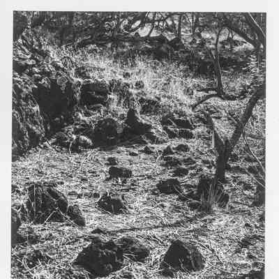 Site 638F #18