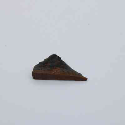 Closeup of tiny basaltic glass flake: The image shows a small, triangular piece of basaltic glass flake with a dark, shiny surface against a plain, light background.