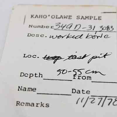 Artifact slip for fish hook tab fragment made from worked bone: The image shows a sample slip from Kahoʻolawe with number 349D-31.3083, describing a worked bone.