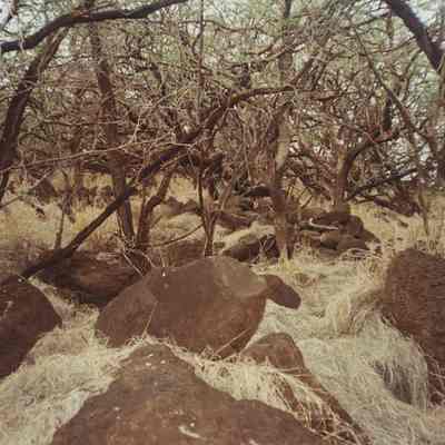 Rock enclosure at Site 128