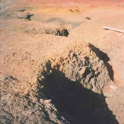 Gully above Wailuna