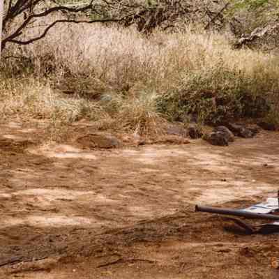 Part of a road or trail