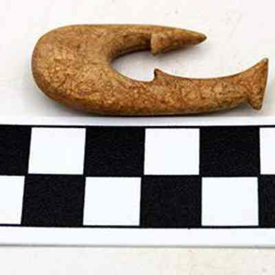 Fishhook: The image shows a carved, crescent-shaped object placed beside a black-and-white checkered scale marked in centimeters, used for measurement reference.