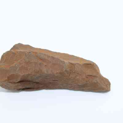 Closuep profile of a possible auger: The image shows a jagged, brown rock against a plain white background, possibly resembling an ancient stone tool.