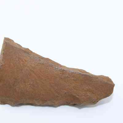 Closeup of possible auger: The image displays a stone tool which might have been used as an auger, showcasing a pointed, jagged edge and a rough texture.
