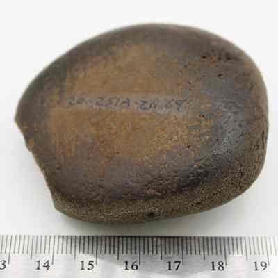 Basalt hammerstone with visible alternate id number with a ruler: The image shows a smooth, oval-shaped stone with a rough texture, featuring handwritten numbers on its surface, next to a ruler indicating its size.
