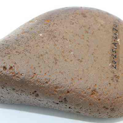 Close up of basalt hammerstone with visible alternate id number: The image displays a smooth, oblong stone with an uneven surface, featuring small pockmarks and inscriptions in black along one side.