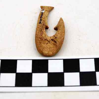 Underside of fishhook: The image shows a small, brown, ancient bone fishhook beside a black-and-white centimeter scale for size reference on a white surface.
