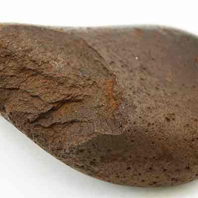 Closeup of a basalt hammerstone: The image depicts a brown, smooth-edged, and somewhat flat rock with a rough, textured surface.