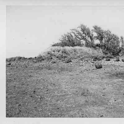 Site 102, #4