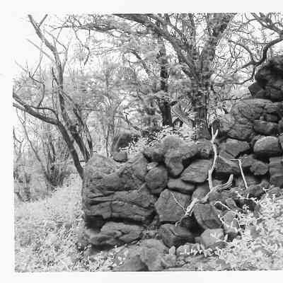 Site 106L #20