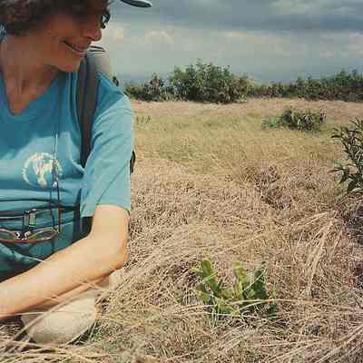Unidentified woman looking @ planting