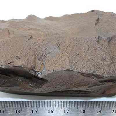 Basalt adze blank against a ruler: The image shows a large, rough, brown rock adze blank placed on a white surface, next to a measuring scale with centimeters indicated.