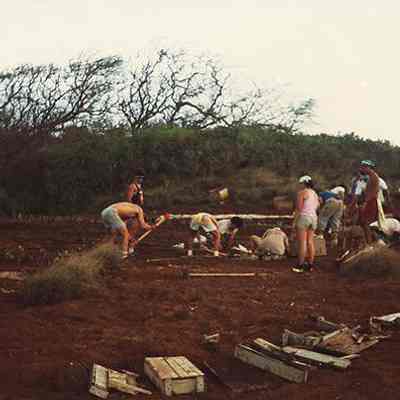 Planting