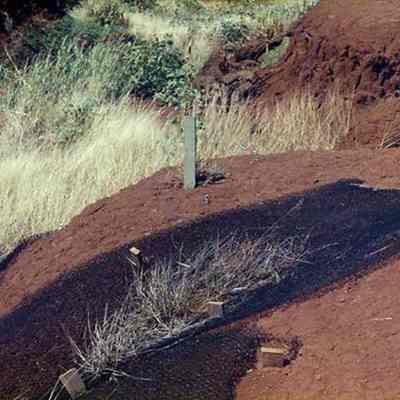 Stakes in hardpan