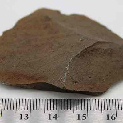 Basalt flake with ruler: Original size: 6.04 cm (l); Original format: Artifact; Resolution: 200 dpi