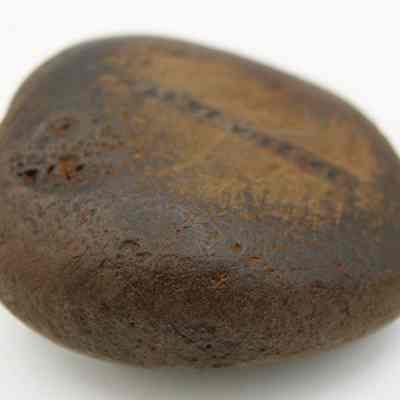 Closeup profile of a basalt hammerstone: The image shows a smooth, brown, rounded stone with a slightly textured surface, appearing earthy and natural, placed against a plain white background.